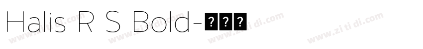 Halis R S Bold字体转换